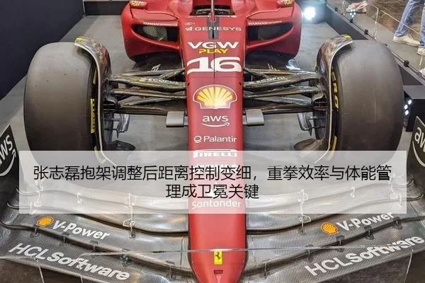 张志磊抱架调整后距离控制变细，重拳效率与体能管理成卫冕关键